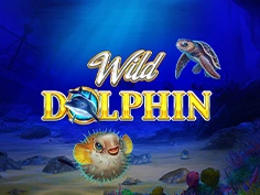 Wild Dolphin