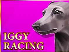 Iggy Racing
