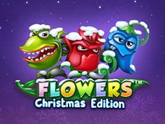 Flowers Christmas Edition