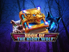 Book of the Night Wolf