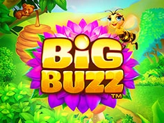 Big Buzz