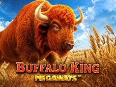Buffalo King Megaways