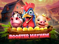 Rooster Mayhem