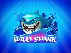 Wild Shark