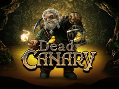 Dead Canary